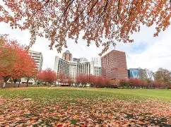 波特兰开拓者训练开放日,今晨临场应变引欢呼,CBA季后赛在即,球队文化再被提及的简单介绍 波特兰开拓者训练开放日,今晨临场应变引欢呼,CBA季后赛在即,球队文化再被提及的简单介绍